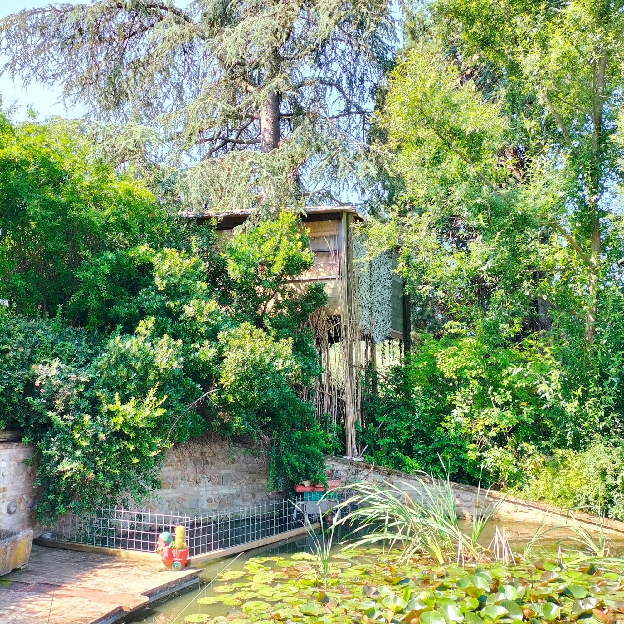 Ca' Dei Gelsi B & B Coriano Exterior photo